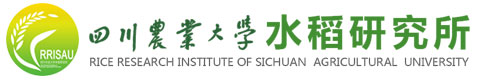 4118云顶备用网站2020